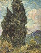 Vincent Van Gogh Cypresses (nn04) oil painting picture wholesale